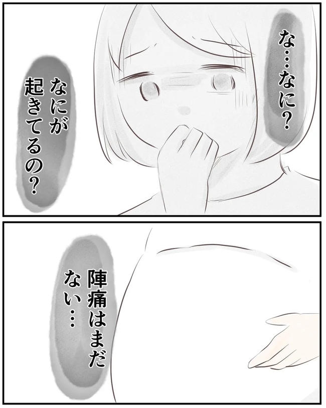 出産目前に起きた忘れられない出来事/いもやまようみん