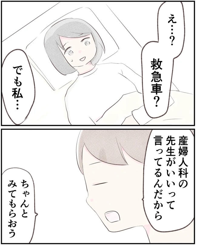 出産目前に起きた忘れられない出来事/いもやまようみん