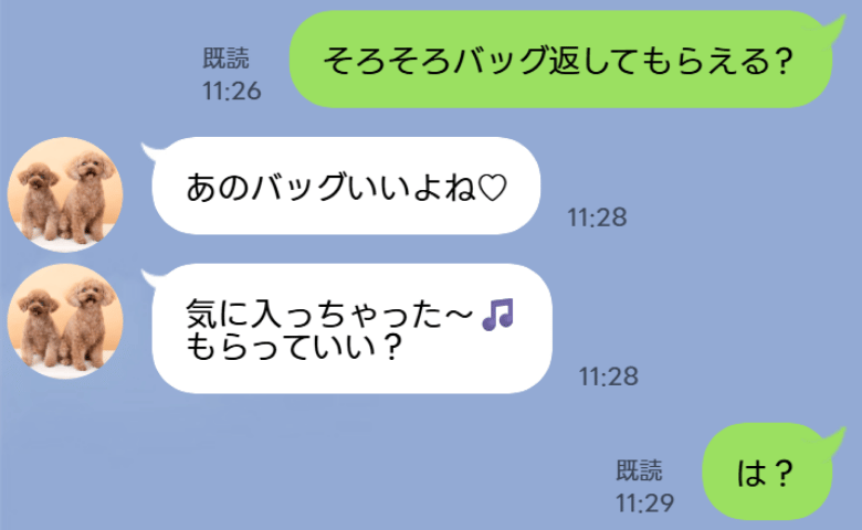 義妹「借りたバッグ、気に入っちゃった♡」無断で持ち出したうえに返却も拒否！？夫が注意すると態度が一変