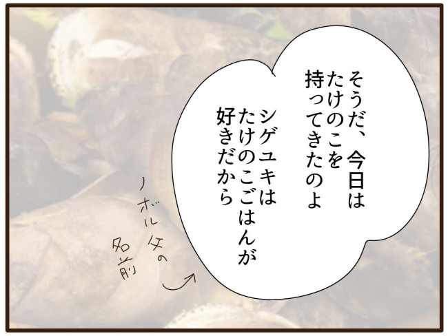 あなたはなんてかわいそう／山野しらす