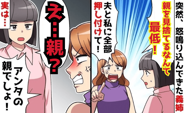 初対面の兄嫁「介護を押し付けるな！親を見捨てるなんて最低」罵倒→私「え…親って？」食い違う主張…真実は