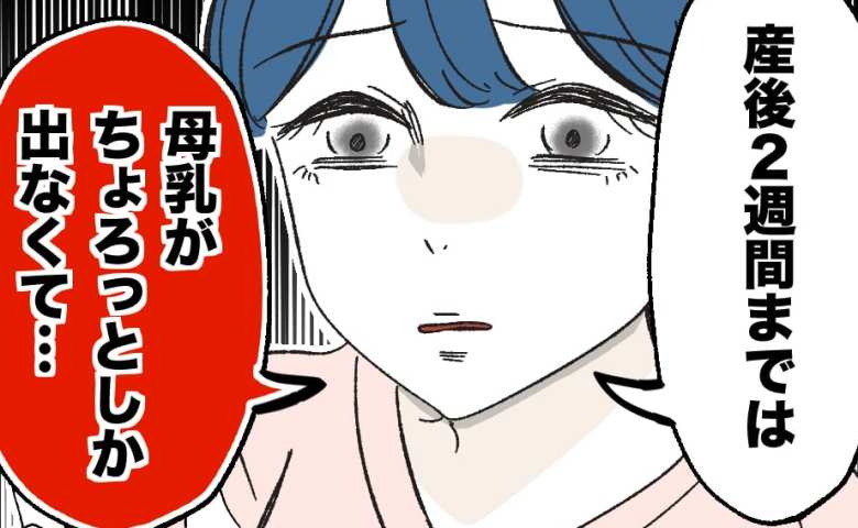 母乳が出ない嫁に「授乳の様子を見てあげる」義母が動画を要求→拒否するとまさかの返答が… #産後ハイになった親友の末路 25