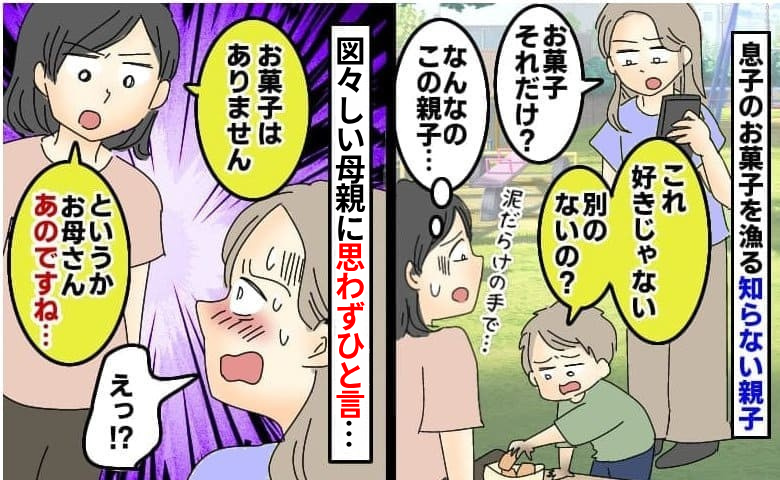 見知らぬママ「お菓子、他にないの？」公園で面倒を見ていた子の親が登場し、図々しく要求！私が返したひと言とは
