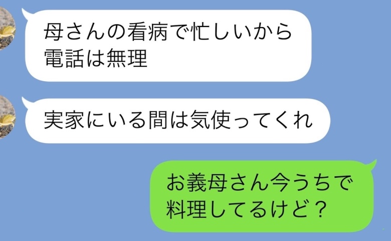 夫「おふくろが倒れた」旅行をドタキャンし、1人で帰省→私「お義母さん、うちにいるよ？」悲惨な末路