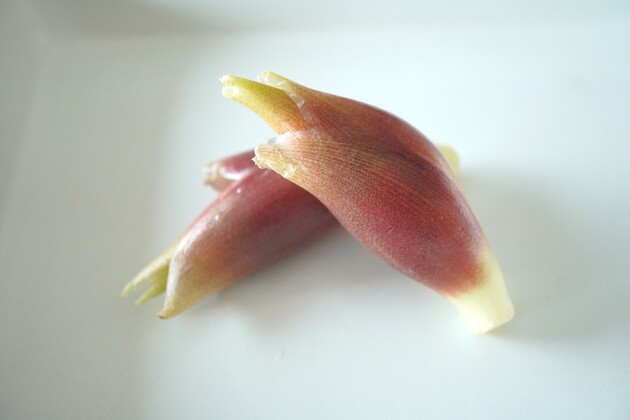 コレのために「みょうが」常備します！【本当は教えたくない】食べ方！「お蕎麦屋さんで教わった」