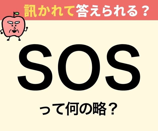 「SOSって何の略？」【間違えたら恥ずかしい】「セーブ…ええと？」→「知ったかぶりしてた…」「覚えておきます！」