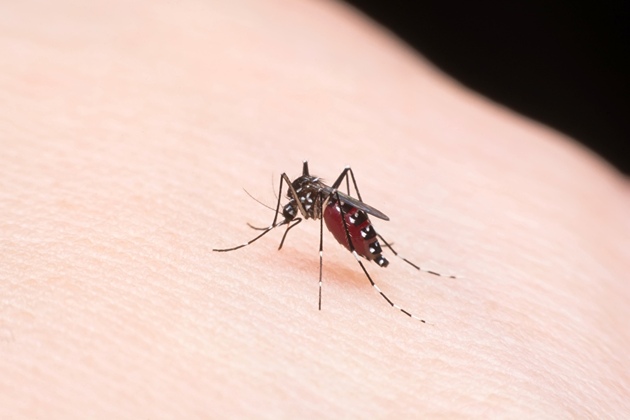 【"虫刺され"予防ガチるならコレ！】強力すぎる虫除け「ワンプッシュで蚊の心配解消！」
