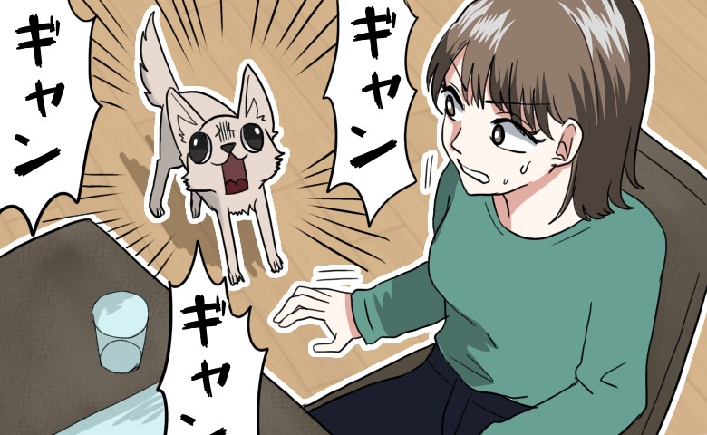 「ギャン！ギャン！」義実家の犬から歓迎されない結婚あいさつ！？→犬が吠えていた本当の理由は