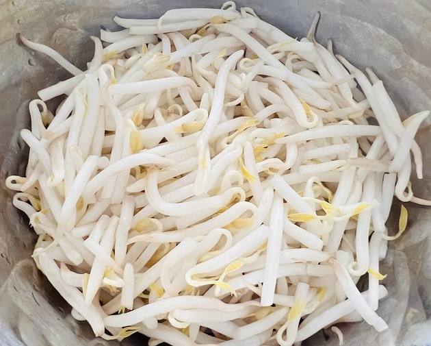 【コレのために「もやし」常備する！】藤井恵さんが"マカオで惚れたアレ”を再現→大成功！
