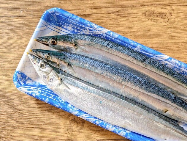 【“サンマ”はとりあえず冷蔵庫に…ちょっと待って！！】「危ないじゃん」プロが教える“賢い保存法"