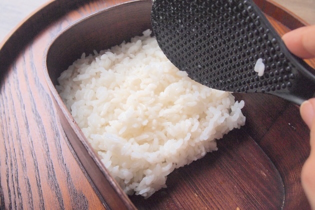 【お弁当、とりあえず"ごはん"入れる→絶対やめて！】「もうしません」"プロ直伝"正解はコレ