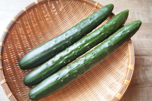 【ねぇ…それ誤解だからもうやめて！】"きゅうりは栄養ない"に管理栄養士が喝！「2度と言いません」