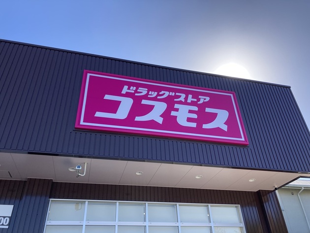 すでに“チョコバッキー”卒業してます！【コスモス】現金でしか買えない5本228円コスパ最強アイス