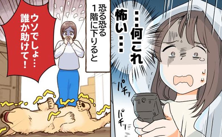 「バタン」テレワーク中に突然の物音。慌てて1階に駆け下りた私が見た愛犬の姿は