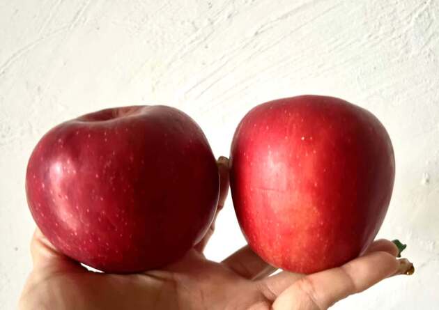 【りんご農家の嫁】が“人気ベーグル屋さん”から教わった「何だこの美味しさは」ウマいりんごの食べ方