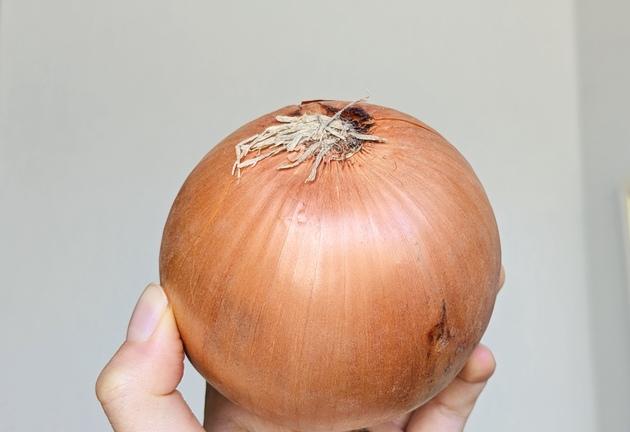 【やってたら絶対にやめて！！玉ねぎの保存】"青果店"が警告する理由に→「ゾッとした(泣)」