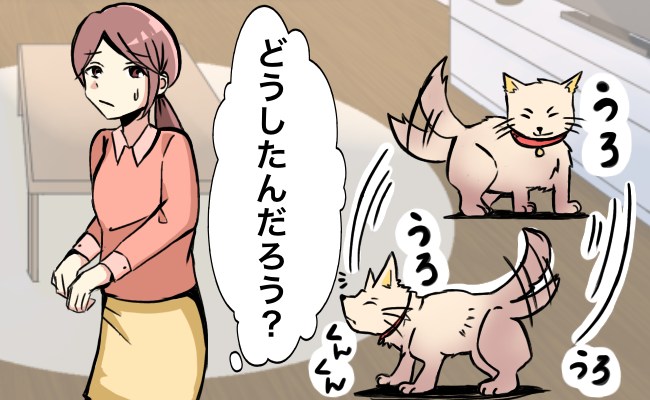 親戚宅の犬が、この日に限って私の周りをウロウロ。「もしかして…ニオってる？」心当たりがあって…