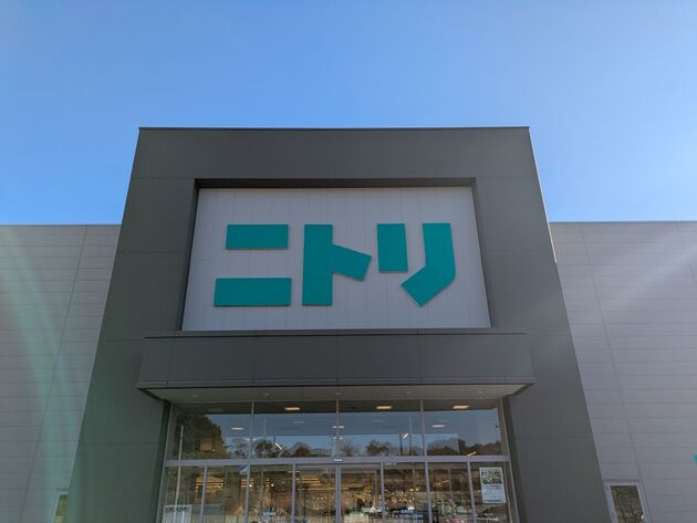 「家族分の"枕”買い替えちゃう！？」「10,990円の価値ある！」【ニトリ】買って大大大正解3選