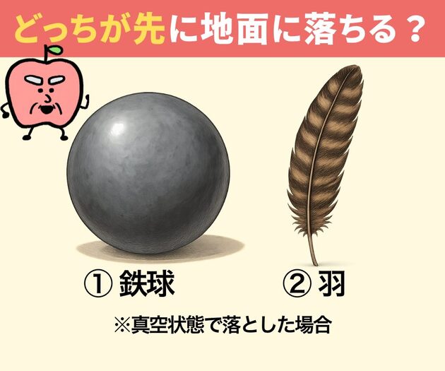 鉄球と羽、同時に落としたらどっちが先に地面に落ちる？【間違えたら恥ずかしい…！】
