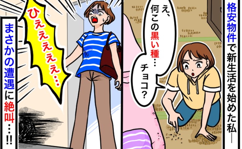 「チョコこぼした？」新居の布団で見つけた黒い種。検索して青ざめ…数日後、リビングでヤツと鉢合わせ