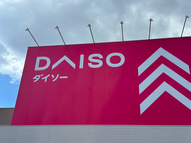 似た商品買うと1000円超え！？【ダイソー】「110円ってお得すぎ！」「もうホムセン行けないよ…」最強コスパ3選