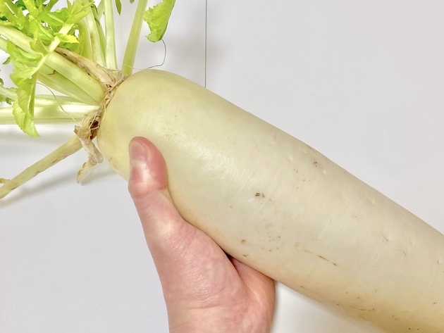 【ぶよぶよ・シワシワになった大根、捨てないで！】"あの液体"浸すだけ！「スーパー青果部直伝ワザ」でまさかの完全復活！