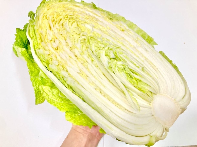 【こんな白菜、絶対に食べちゃダメーー！】"青果のプロ"の警告「実は完全にアウトです…」→「え、危なっ…」「一生覚えておきます…！」
