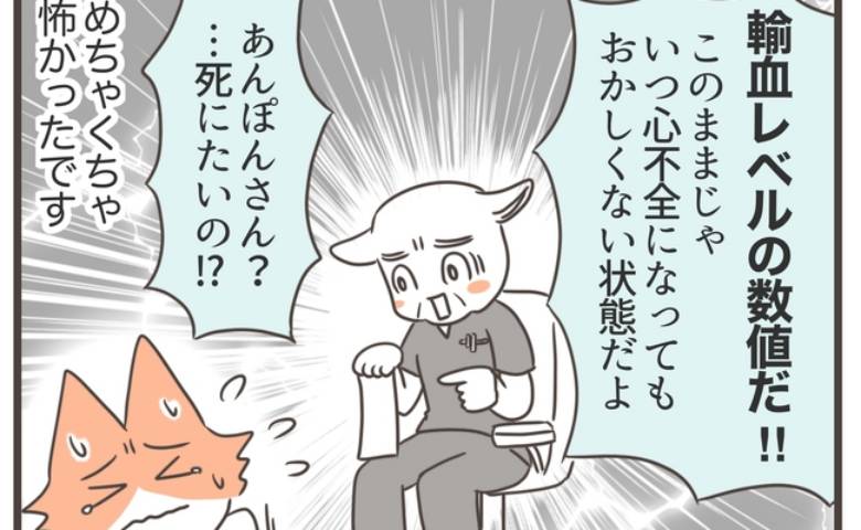 ただの貧血だと思ってたら命の危機！？輸血レベル状態に医師も絶句 #貧血放置で子宮筋腫手術 1