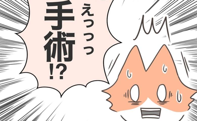 内診では大丈夫、でもMRIを撮ったら手術！内診をすり抜けた筋腫 #貧血放置で子宮筋腫手術 2