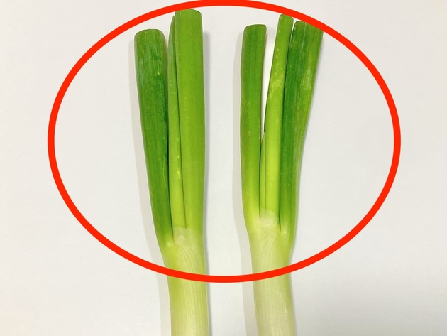 【ネギの青い部分、食べたらヤバイ？】スーパー青果部「農林水産省所管の公的機関も説明してますが…」
