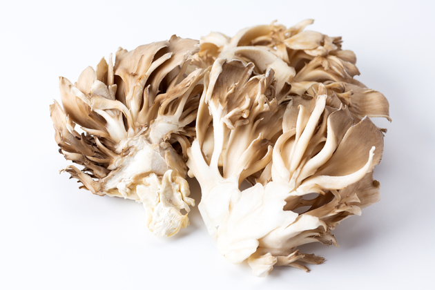 【まいたけはコレ覚えとけばいい！】「え？ドボンするだけ!?」ごくごく飲める"旨み爆発"の食べ方→「騙されたと思って作ってみて」