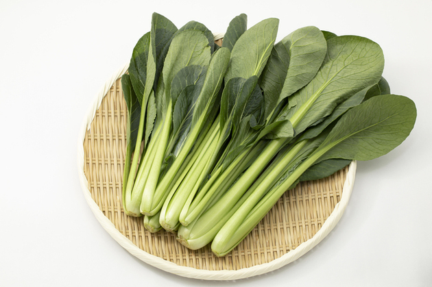 【1袋99円の小松菜】はこう食べてーーー！北海道の“農家の嫁”直伝「あっという間に空っぽ」家族から「おかわり！」続出のべらぼうに旨い食べ方