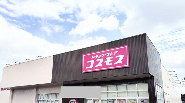 「5本で228円均一！」「アイスはシャトレーゼだけじゃない！」【コスモス】でしか買えない専売品4選