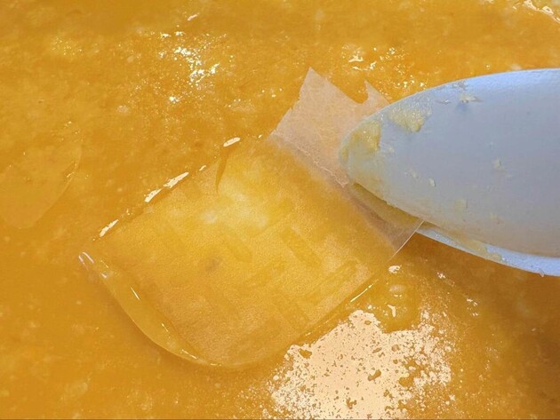 【ライスペーパー】は水につけないで!?"あの液体"に浸すだけ「何これめっちゃうっっっま…(泣)」「今すぐメモして」裏ワザレシピ