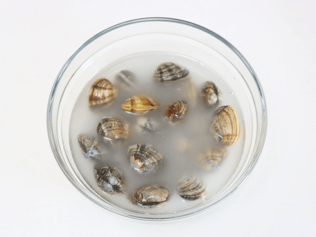 【お願い！アサリの砂抜き「あの粉」入れてみて！】ジャリジャリ回避！"シェフ"が教える裏ワザ