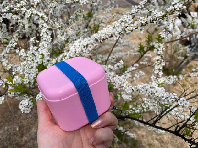 "デザートコンテナ"は「在庫なし」！100均から【3COINS】に浮気して大成功「何度も再入荷してる」買って良かった3選