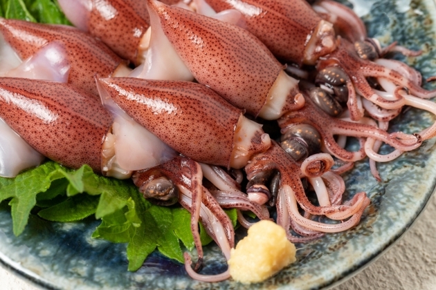 【ホタルイカ】って「こう食べれば良かったのね！？」タサン志麻さん流「簡単でめっちゃ旨い」食べ方！「感動」お酒の用意して…(泣)