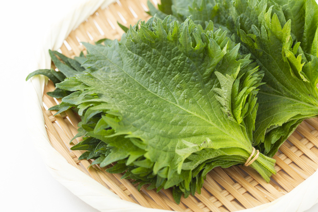 【こんな大葉は、絶対に選んじゃダメー！？】"青果のプロ"のジャッジに→「危なっ」「一生忘れないようにする」