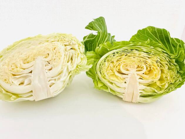 その【キャベツ】選んじゃダメぇぇーー!?野菜の"上級プロ"が教える見分け方で簡単！「そっちが正解だったの!?」賢い野菜の選び方3選