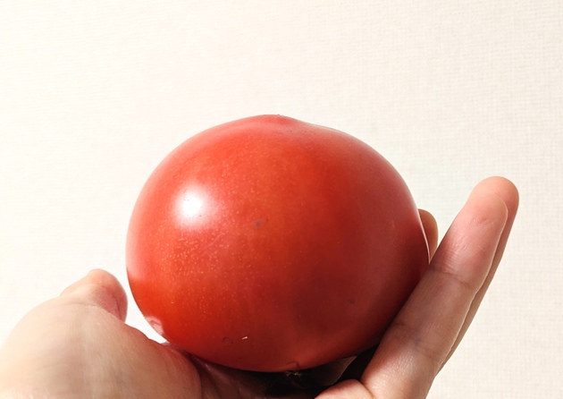 【トマト、安くてデカいの買う！】←やめて！これもったいないかも！！プロが暴露する『正しい選び方』に"マジか〜！""一生忘れない"