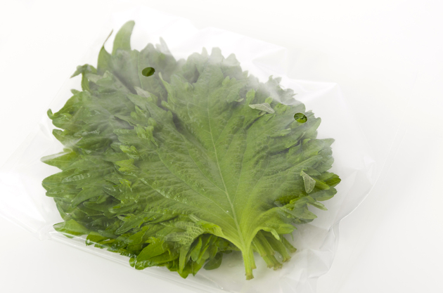 【大葉はすぐ野菜室に入れないで！？】実は"3週間"も長持ち！「早く知りたかった…」「すぐ使える！！」インスタで"2万いいね"ワザが神すぎる