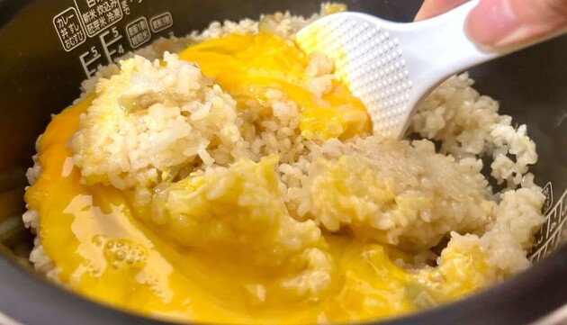 【チャーハンはもう一生コレ！！】これでよかったの！？『ヒルナンデス！』見て速攻作った「ほったらかし」「フライパン卒業」究極レシピ