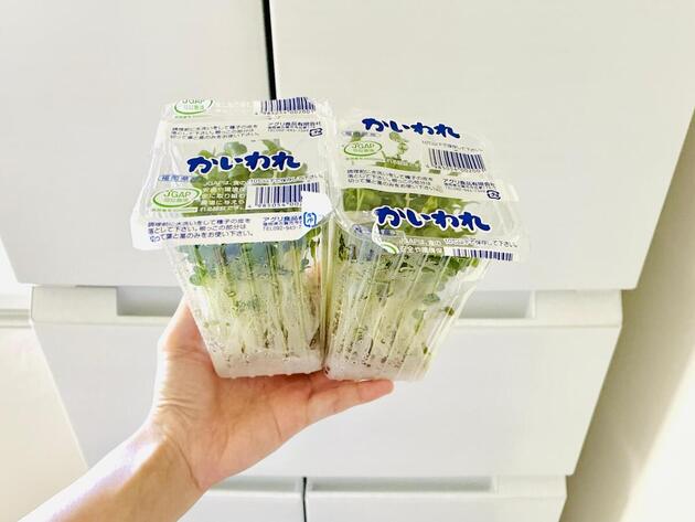 【1パック39円の"かいわれ大根】は"アノ液体"にドボンして！「一瞬で2パック消費」「家中のごはんもなくなる！」万能作り置き系
