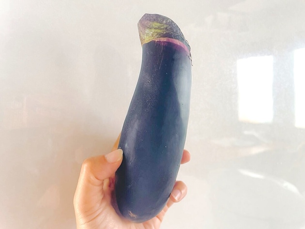 【旬のナスあったら…】絶対コレ作って〜！！夫も子どもも爆食！「なにこれおいし〜！」家族に大好評で「また作る！」激リピレシピ！