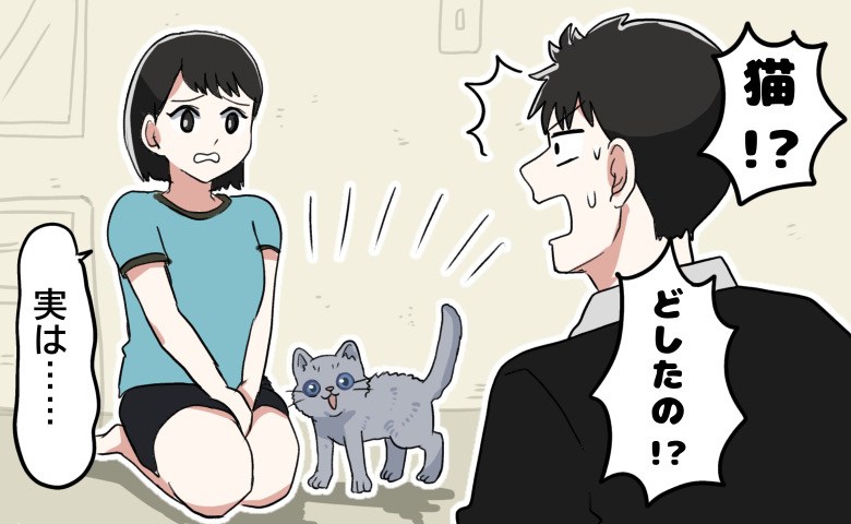 指輪を購入しプロポーズ目前。自宅に子猫が。彼女「実は…」→猫の値段を聞いてさらに衝撃！？