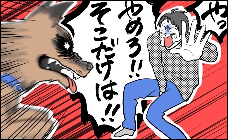「よりによって…」大型犬に下半身をかまれた夫。傷は治ったのに夫婦生活に残った変化とは【体験談】