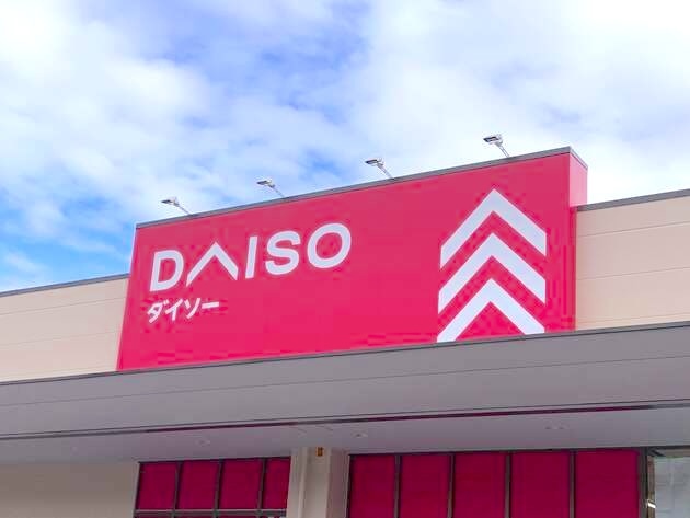 ごめん、無印良品やめて【ダイソー】で買う！SNSで話題「家にあるアレ」"神活用"4選「超便利」「嬉しい〜！」あれこれ買う必要なし