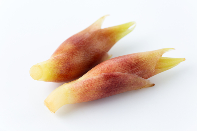 コレのために「みょうが」常備します！【本当は教えたくない】「なにこれ〜！するする止まらない」"超ウマイ"食べ方！「数分で完食」はあ絶品
