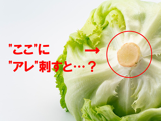 これ本当なの！？【SNSで話題の方法で"1週間以上"も新鮮!?】八百屋歴15年のプロ直伝"レタス長持ち"の衝撃裏ワザ「冗談かと思った…！」