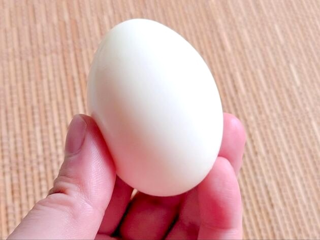 なんで今まで知らなかったの…【味付け卵、もう一生これ！】ラ－メン屋マスターの美味しい食べ方に→「これはいけません」夫婦でタレ一滴まで完食！